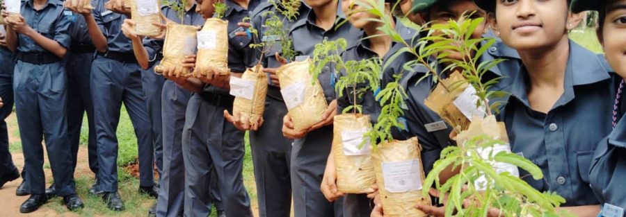 Schools encouraging tree planting in Dasarahalli Bangalore