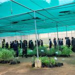 Top ICSE schools with experiential learning