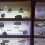 Best ICSE schools in Dasarahalli, Bangalore for interactive learning