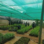 ICSE Schools in Dasarahalli focusing on outdoor education