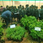 ICSE schools in Dasarahalli offering fun learning