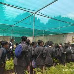 Best ICSE schools for experiential learning in Dasarahalli